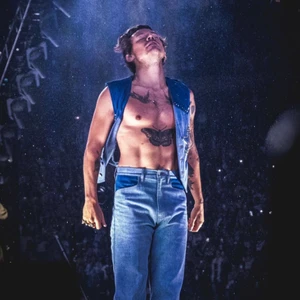 SÖKER - Harry Styles Amsterdam - Jag söker två Bishopsgate eller Hollywood biljetter till Harry Styles konserten i Amsterdam. Spelar ingen roll om det är 5.6.2023 eller 6.6.2023!  Skriv mig gärna om ni säljer tickets ELLER om ni känner någon som känner någon osv 🌻🕺
