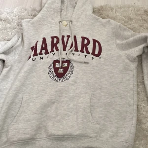Harvard hoodie  - En ljusgrön hoodie från hm med Harvard text på. Den är väldigt mjuk och skön i matrialet och den är knappt använd. Den är i väldigt fint skick. 