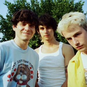 Wallows biljetter  - Säljer mina wallows biljetter till konserten 3 februari 2023, har två biljetter 🕺🏻båda för 500kr