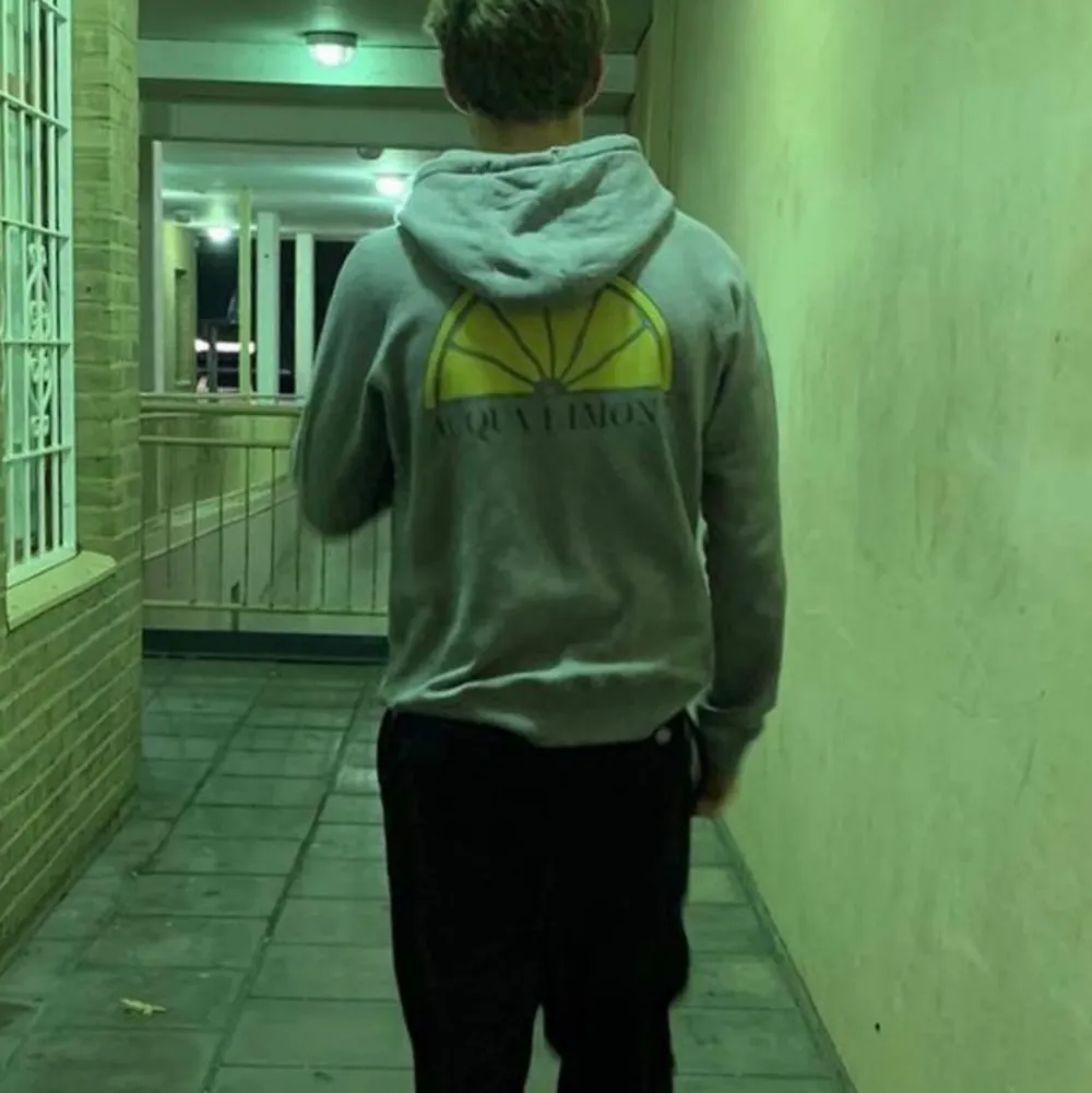 Grå hoodie från Aqua Limone i storlek M. Tröjan är inte använd så många gånger och den är i bra skick. Nypris ca 1100 kr.. Hoodies.