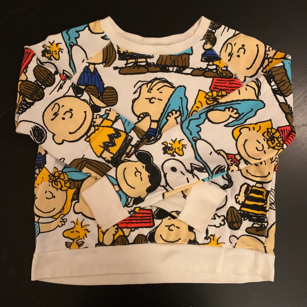 official peanuts merch long sleeve top/sweatshirt. size M but fits more like a S in my opinion. in great condition, i’ve only worn it two times because i prefer oversized!  features charlie and sally brown, snoopy, woodstock, and linus and lucy van pelt ❤️. Hoodies.