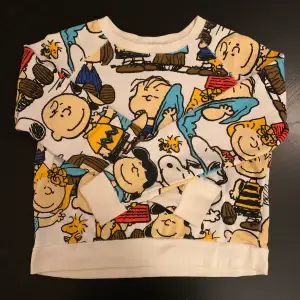 official peanuts merch long sleeve top/sweatshirt. size M but fits more like a S in my opinion. in great condition, i’ve only worn it two times because i prefer oversized!  features charlie and sally brown, snoopy, woodstock, and linus and lucy van pelt ❤️