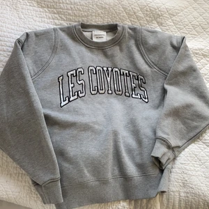LES COYOTES DE PARIS tröja  - En superfint les coyotes tröja som är grå med silvrig text! Tröjan är trendig och Och lätt att styla! i bra skick, köpt för ungefär 1 år sedan.  Den är i storlek 14 år!