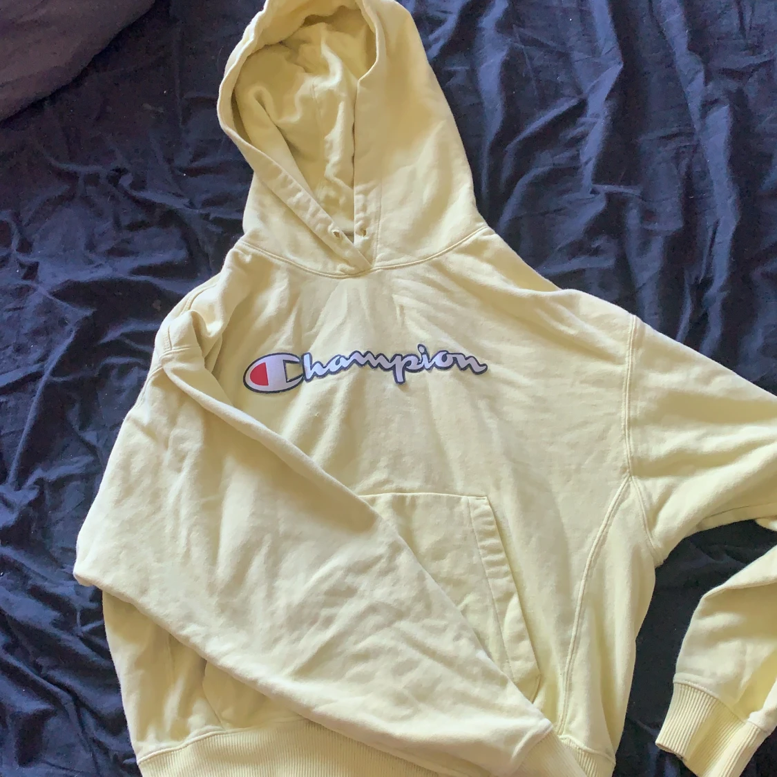 champion hoodie