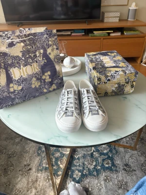 Dior Oblique låga sneakers - Säljer ett par snygga Dior Oblique sneakers i vitt och grått med tydligt Christian Dior-tryck på plösen och sidan. Skorna har klassisk låg silhuett, vita snören och sula i gummi. Perfekta för dig som vill ha något exklusivt och trendigt i garderoben.