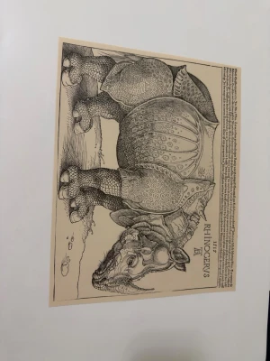 Klassiska svartvita konsttryck - Två svartvita konsttryck, ett med en detaljerad illustration av en noshörning och ett med en historisk scen fylld av människor. Trycken är gjorda på tjockt papper och har tydliga linjer, perfekta för dig som gillar klassisk konst och vill dekorera väggen.