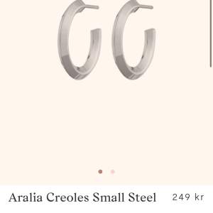 Aralia creoler örhängen från Edblad. Använd bara någon enstaka gång. 
