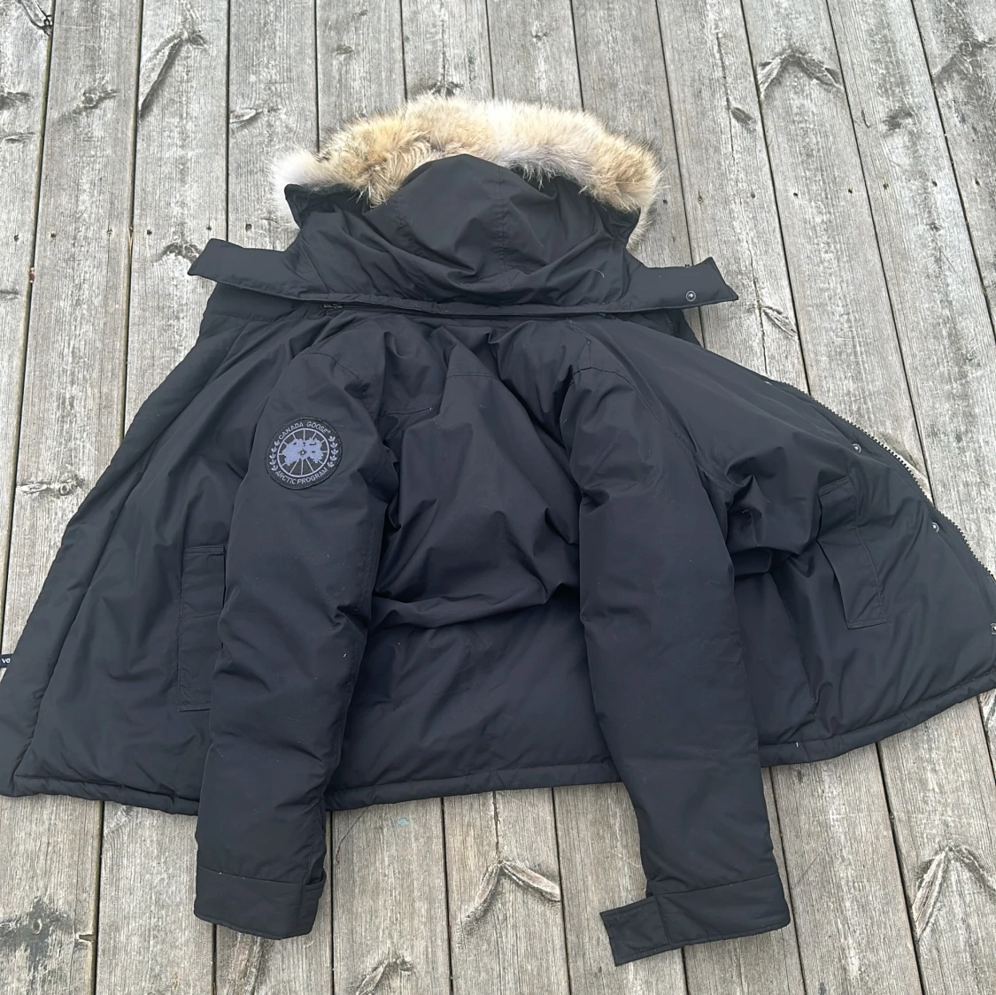 Canada goose i mycket bar sick  - 90