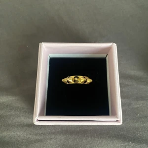 Ring edblad - Ring från edblad, använd kanske 3 gånger. Utan defekter