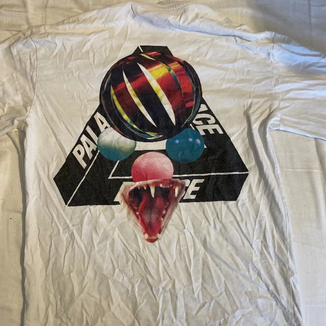 Palace Tri Ferg/Sans Rare Snake long sleeve