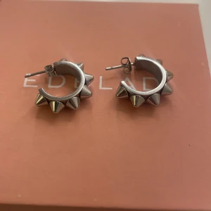 Edblad örhängen - Fina Edblad örhängen med nitar på. Använda sparsamt utan några defekter. Säljer pga att jag föredrar guld smycken✨☺️nypris 400kr. 