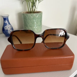 Chimi voyage  - Chimis 