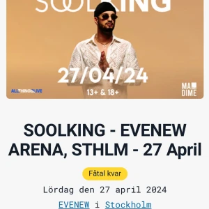 Soolking biljett  - Säljer en soolking biljett till nu på lördag i Sthlm för 250kr