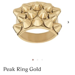 Edblad ring  - Säljer en Edblad ring! Storlek 18,5 mm 