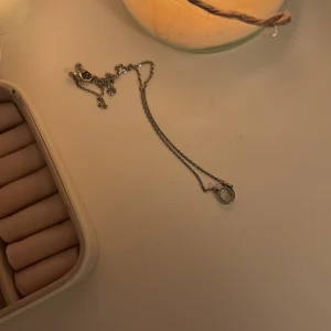 Halsband  - Ett jätte fint halsband från Edblad 🥰fick inte användning av de eftersom jag är en guld tjej men ett super fint halsband (köparen står för frakten)