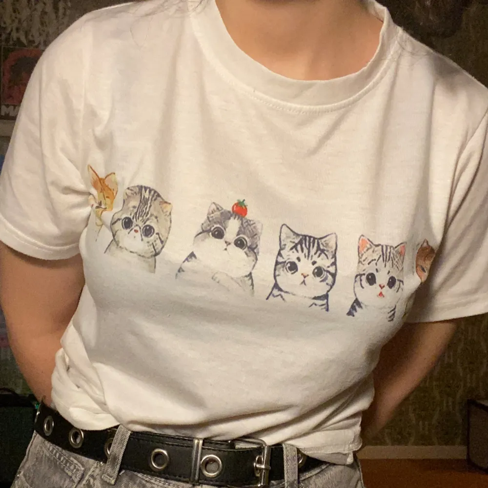 gullig tshirt med katter på! köpt second hand men från början från Shein:D<3 skriv för fler bilder. T-shirts.