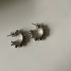 Edblad örhängen  - Fina örhängen från Edblad i väldigt bra kvalite!!