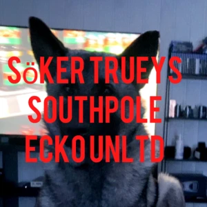 Söker jeans och tröjor 🙏🙏 - Skriv i dm om du har feta trueys, southpole jeans/t-shirt/tröjor, ecko tröjor W34 och S/M