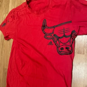 Chicago bulls tshirt - Storlek: S Skick: 9/10 inga defekter