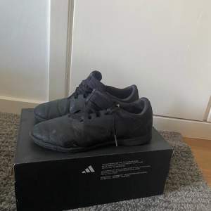 Adidas predators inomhusskor använda 1-2 månader och är i bra skick dom är i storlek 38 men passar även 37 och 39. Pris kan diskuteras. Original pris 1000kr 