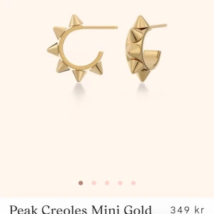 Edblad örhängen  - Säljer mina Edblad örhängen i guld då de inte kommer till användning mer. I fint skick och har inga defekter☺️