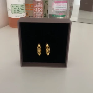Edblad örhängen  - Guldiga örhängen som aldrig är använda, deärför att jag inte bär guld swisha gärna!🙂
