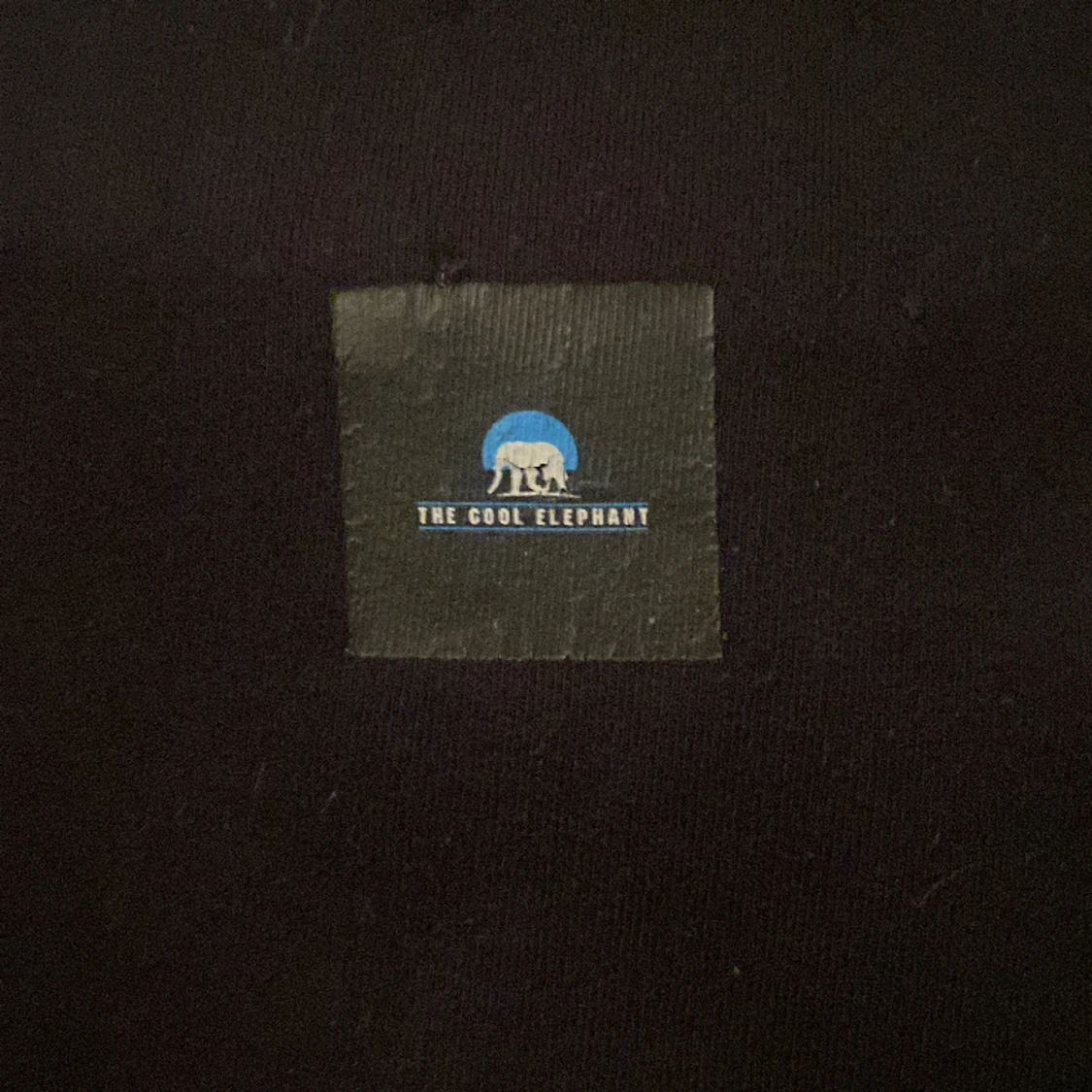 TheCoolElephant hoodie  - 91