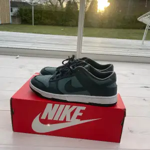 Säljer mina Nike dunk low skick är 8/10 för att det är lite cress på framsidan storlek 43 blå grön skriv vid frågor kan tänka mig att gå ner i pris vi snabb affär 