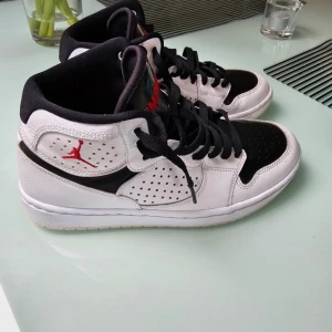 Nike Jordan Access  - Nike Jordan Access i fint skick. Använda ett fåtal gånger.