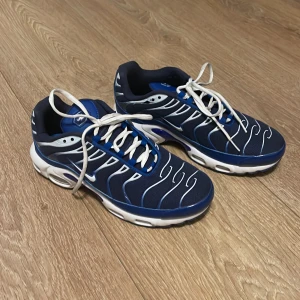 Nike TNs (43-44) -  Blå-vita NIKE TNs som är jättebra för dig som vill skaffa en fransk stil. Perfekt kondition (använd 2-3 gånger) storlek 44 passar på mig som har 42.5. 