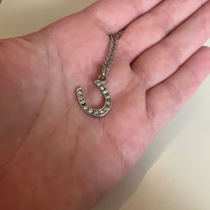 Halsband hästsko  - Superfin💕🧲 klicka på köp nu eller frakt 18kr