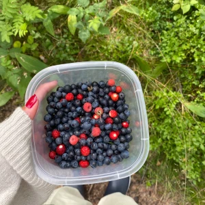 Blåsbär - Färska bär från skogen 1 bär = 10kr finns vildhallon, blåbär och smultron 