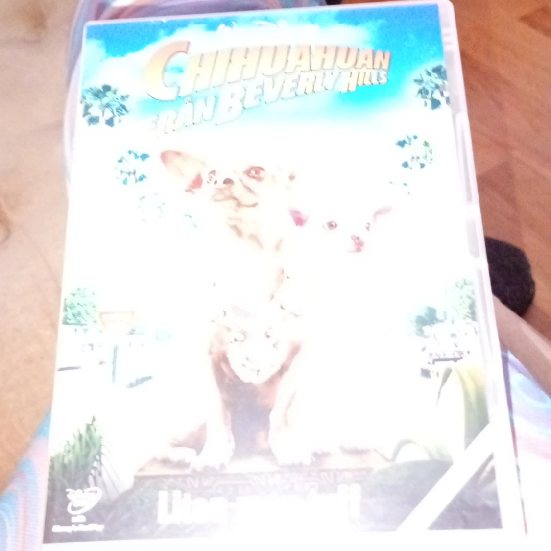 Dvd film Chihuahuan från Beverly hills