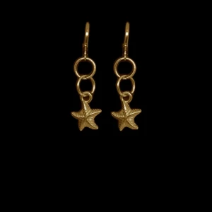 stella earrings guld - jättefina guld örhängen som är gjort av rostfritt stål!