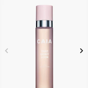 That dewy look  - Fick i present. Inte använd 