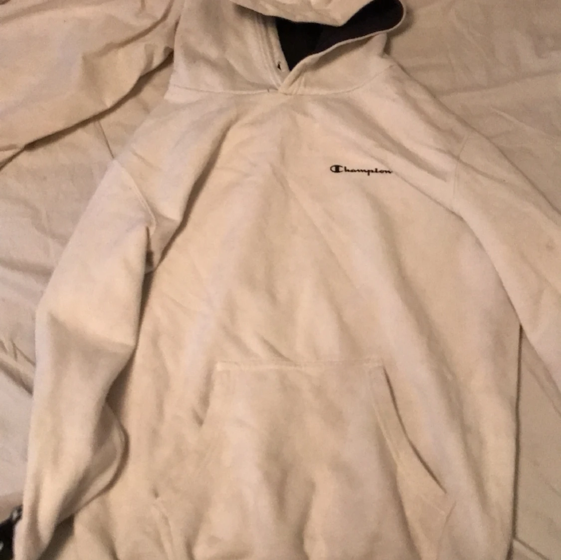 Champion hoodie