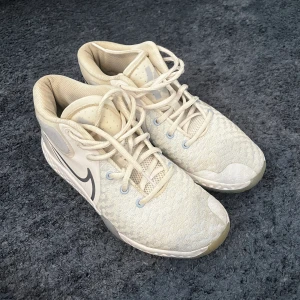 KD Trey 5 VIII - Skorna är i bra skick, och köpta för några månader sedan. Det finns en liten fläck på ena skon men det går nog att tvätta bort.