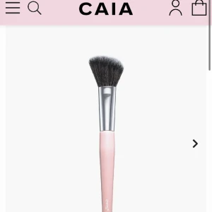 Caia sminkborste - En Caia sminkborste 06. Använd lite, tvättas såklart innan💗