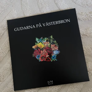 Hov1 vinyl  - Fint skick 🤍