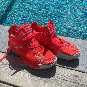 Basketskor Dame 6 - Basketskor Dame 6