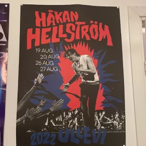 Håkan Hellström poster  - ja köpte förra året på konserten kan sänka pris vid snabb affär:)  