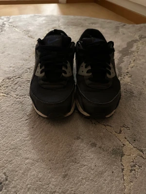 Nike Air Max 90 - Begagnade air max 90, inga byten