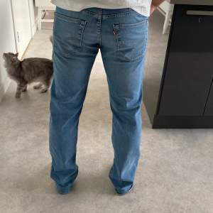 Aldrig använda, Levis jeans i modellen 501