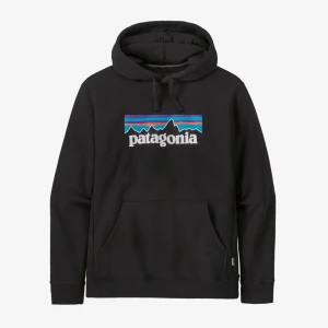 Patagonia Hoodie - Använd fåtal gånger, jätte bra skick. Storlek L men den är lite liten i storleken, de passar M garanterat