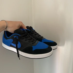 Nike sb dunk  - Helt nya androg använt 