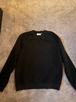 Carhartt crewneck  - Carhartt crewneck använd cirka 2-3 gånger 