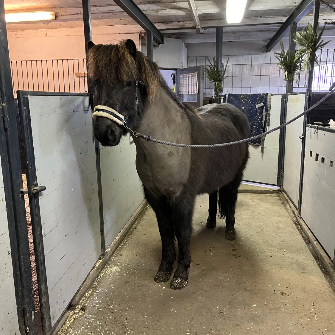 Säljer den röda + blåa grimman + fluffet - 90