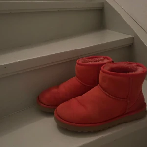 Ugg mini - Bra skick, storlek 38. Känns som nya.