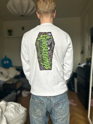 Sweatshirt - Snygg sweatshirt för herr i storklek M, funkar som oversized på S. Bra skick från märket russedress