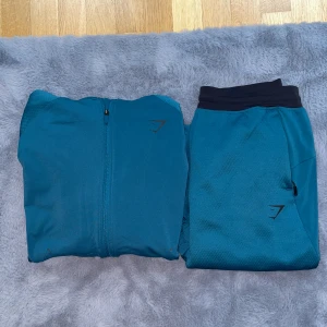 Gym shark  - Hej, Säljer ett riktigt snyggt träningsset som jag beställt från gymshark. Grym kvalite, använt varsamt och är väldigt praktisk vardagligen. Väldigt varm och har bra dragkedjor på byxan samt huvtröjan. Perfekt inför höst och vinter. Väldigt bra i storlek 